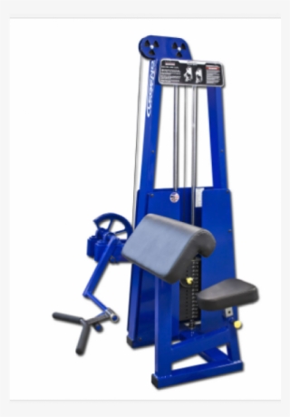 Legend Bicep Curl - Weightlifting Machine