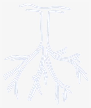 1500 X 1071 2 - Sketch