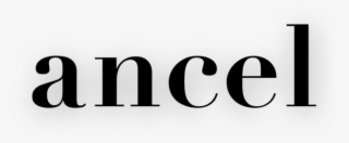 Instead Of Intimidating Price Tags, Ancel Offers Beautifully - Graphics