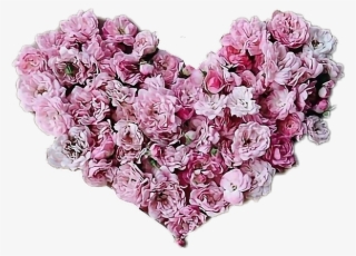 Report Abuse - Flower