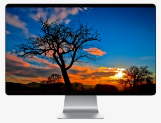 Score 50% - Boa Noite Bom Descanso