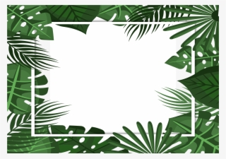 Tropical Frame No Shadow - Illustration