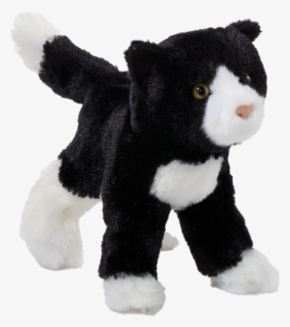 More Views - Teddy Bear