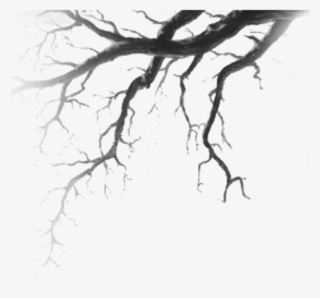 Árvore Tree Shadow Sombra Terror Horror @lucianoballack - Drawing