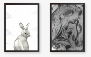 Rabbit With Modern Art Set Of 2 Frames - Domestic Rabbit