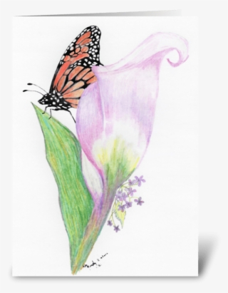 Butterfly And Calla Lily Greeting Card - Arum