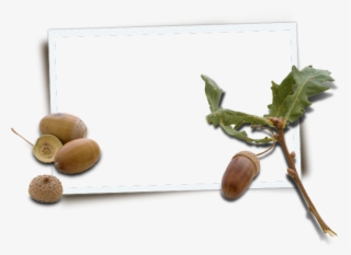 With Its Scenic Natural Setting, Modern Facilities - Frame Natur Png Transparent