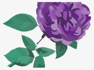 Purple Rose Clipart Transparent Background - Clip Art