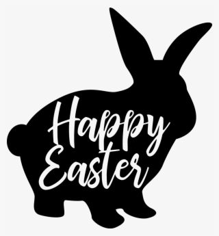Domestic Rabbit