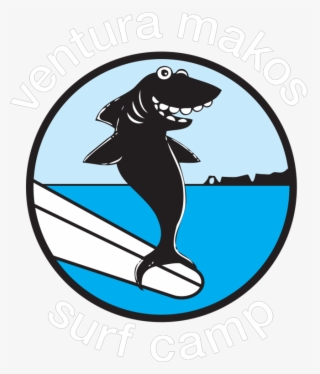 Vm Shark Art - Cartoon Shark Surfer Transparent
