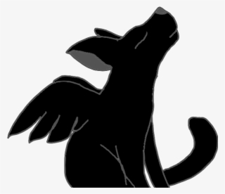 Newtfoot Is A Small Black Oriental Shorthair Male With - Macropodidae