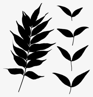 Leaf Silhouette - Portable Network Graphics