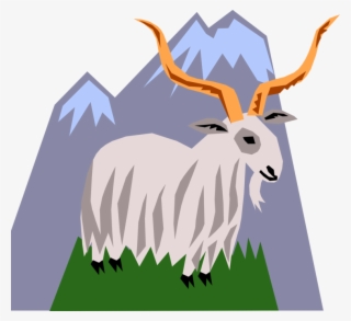 Vector Illustration Of Mountain Goat With Horns Climbing - Antelope