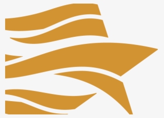 Communities Foundation Of Texas