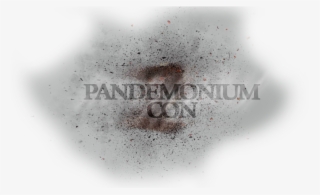 Matt Daddario - Macro Photography