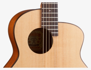 [m Feather Bird Feather Bird] Surface Single Steel - Acoustic Guitar