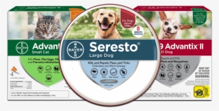 Flea And Tick Prevention Products - Bayer