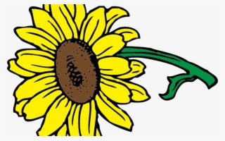 Sunflower Clip Art At Clkercom Vector Clip Art Online - Clip Art