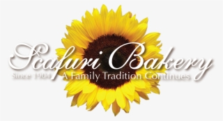 Scafuri Bakery - Sunflower