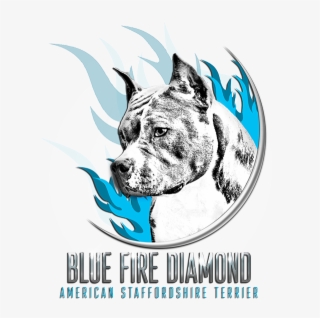 Cordoba Fighting Dog