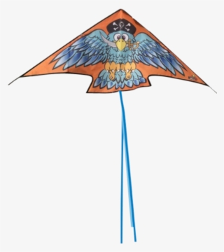 Pirate Parrot - Illustration