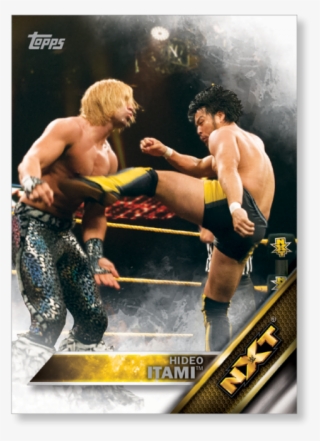 Hideo Itami - Wwe Nxt