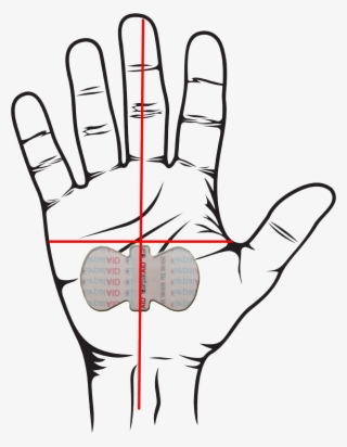 Collection Of Free Drawing Hand Position Download - Hand Stop Drawing