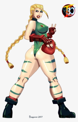 Our Street Fighter 30th Tribute