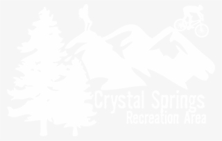 Crystal Springs Whit - Colorado Spruce