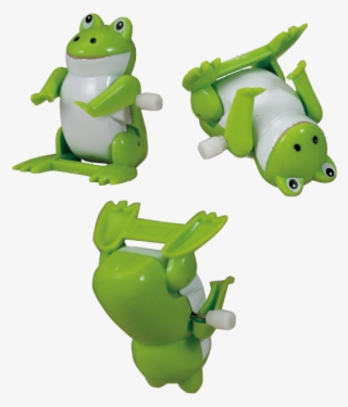 Skip To The Beginning Of The Images Gallery - True Frog