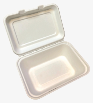 Bagasse Clamshell Regular 18cm X 13cm Case Of - Plastic