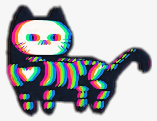 Domestic Short-haired Cat