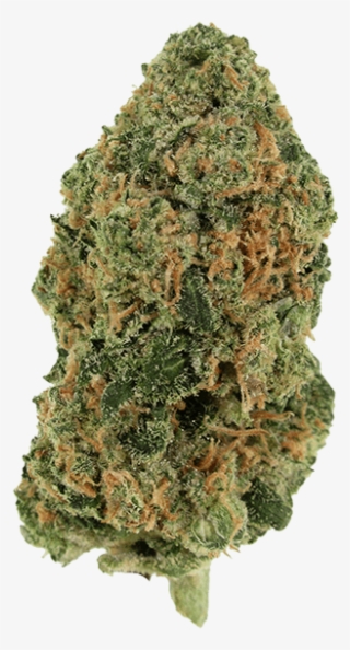 Zed - Indica - Igneous Rock