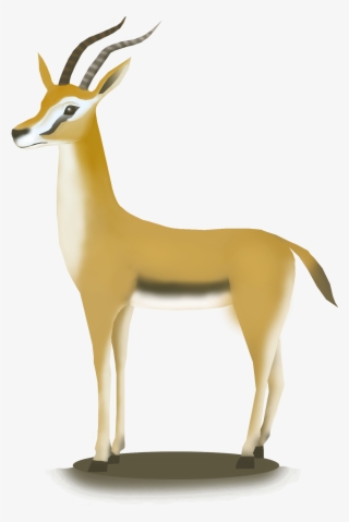 Hand Drawn African Antelope Hd Animal Png And Psd - Thomson's Gazelle