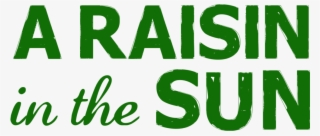 A Raisin In The Sun At Park Square Theatre, Saint Paul/minneapolis - Graphic Design
