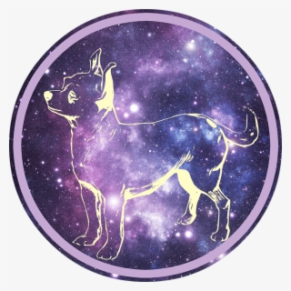 Chihuahua Constellation