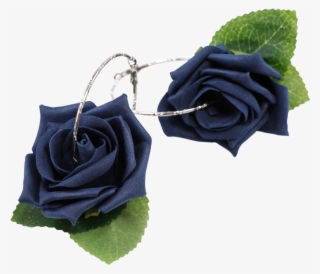 Navy Roses - Garden Roses