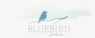 Bluebird Pictures // Bree Fowles - Poster