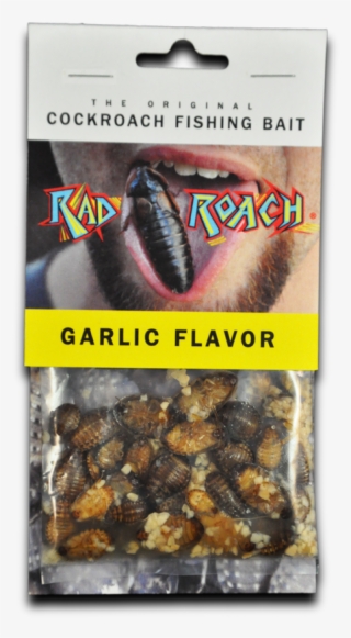 The Original Cockroach Fishing Bait