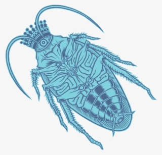 King Of Roach@identity - House Fly