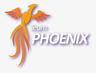 Team Phoenix Logo Web
