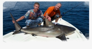 Cape Canaveral Shark Fishing - Cocoa Beach Bull Shark