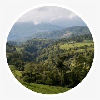 The Beach In Costa Rica, But If You Are Looking For - Hill