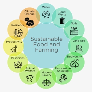 Help Them Address Many Of The Sustainable Development - Sustainable Use Of Food