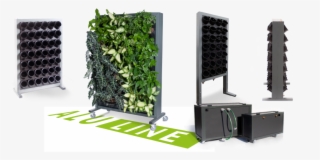 Mobile Walls, Equipped With An Integrated Irrigation - Vertical Garden Images Png