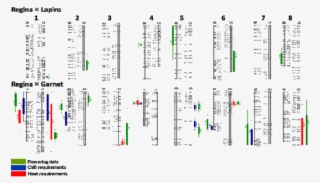 Qtls For Chill And Heat Requirements And Flowering - Diagram