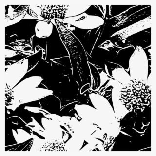 This Png File Is About Tile , Bw , Tileable , Summer - Illustration