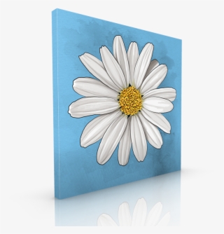 White Daisy - Daisy