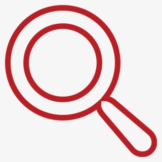 Through The Multi-view Option, You Can Set Up Several - Everglades Alligator Farm