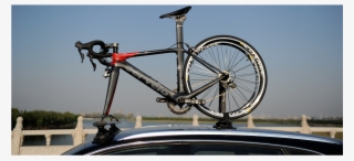 Treefrog Bike Carriers - Roof Rack